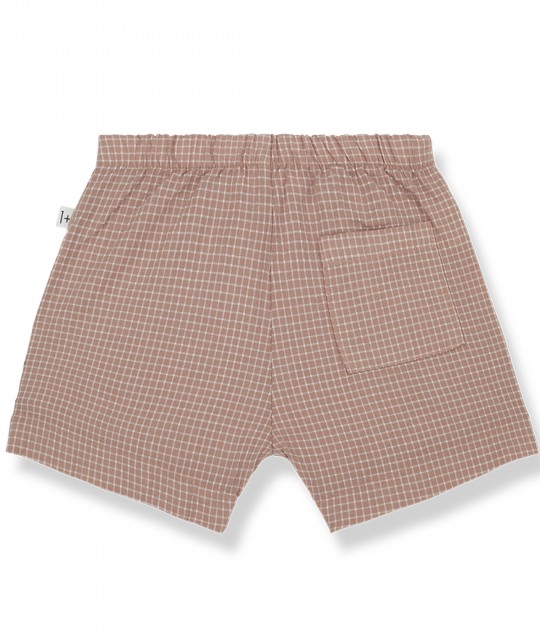 SALVATORE Shorts - Apricot