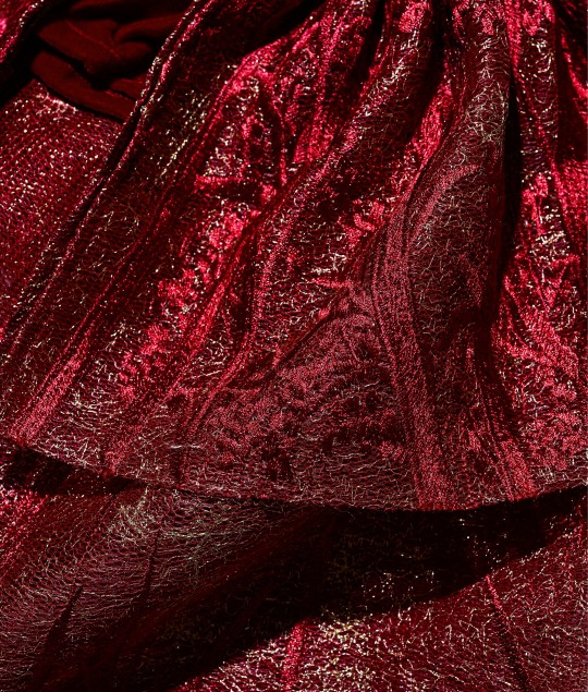 Velvet Dress with Detachable Tutu - RM08