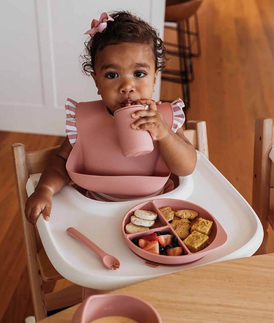 Silicone Meal Kit Rose