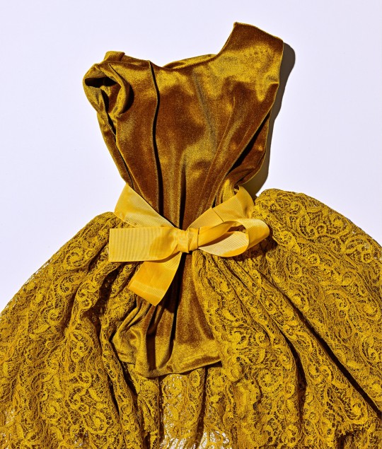 Velvet Dress with Detachable Tutu - RM06