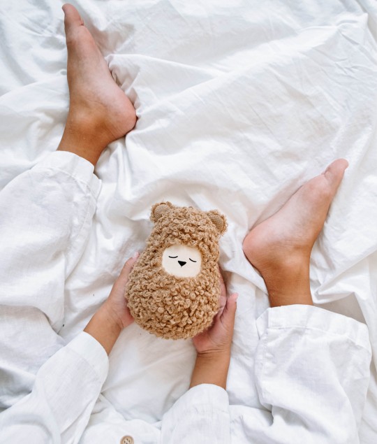 Roly-Poly Bear