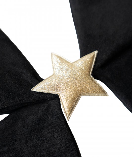Vintage Wings Darcy (Black Velvet)