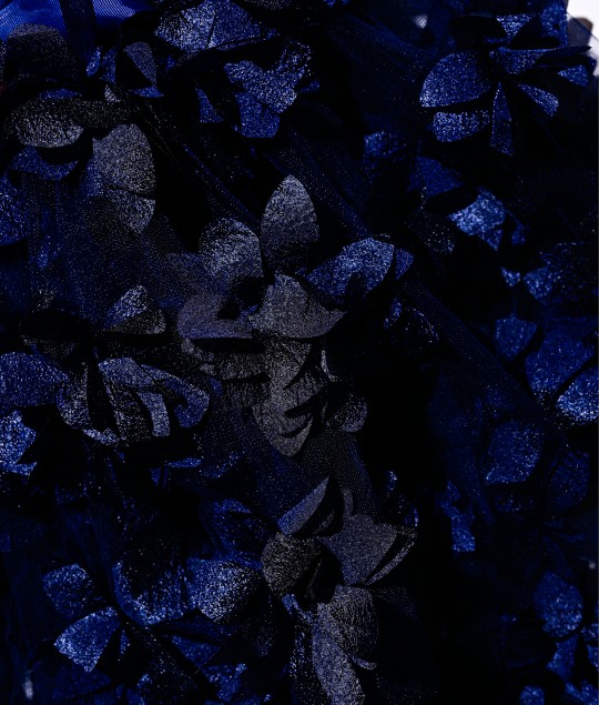 Velvet Dress with Detachable Tutu - RM02