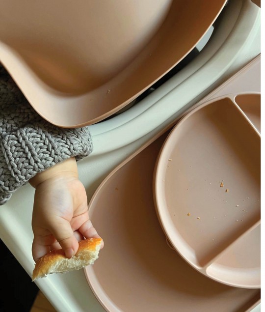 Suction Divided Plate - Nude