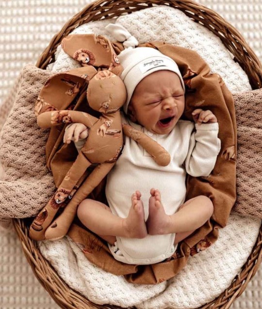 Organic Snuggle Bunny - Roar