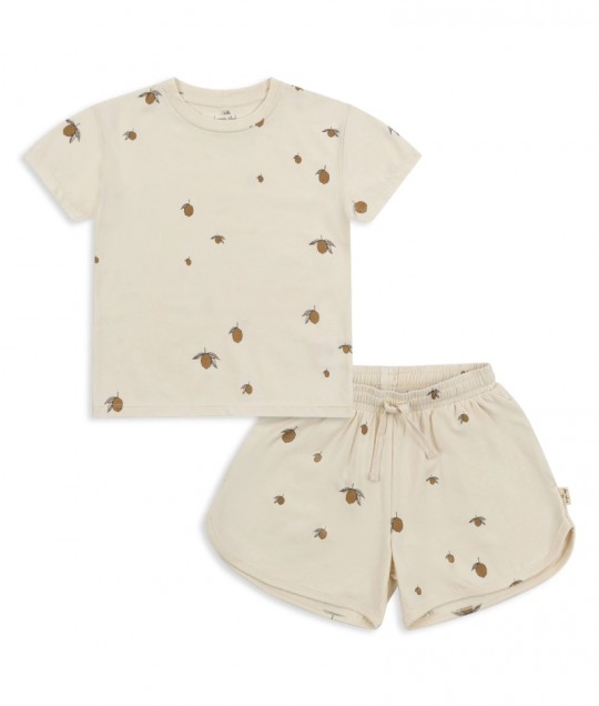 2 pack basic set gots - lemon