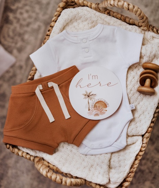 Chestnut Shorts