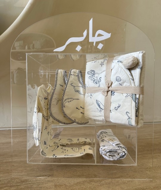 Acrylic Cabinet + Clothing (Marine 2)