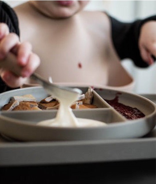 Suction Divided Plate - Greige