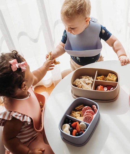Silicone Large Lunch Box Zen