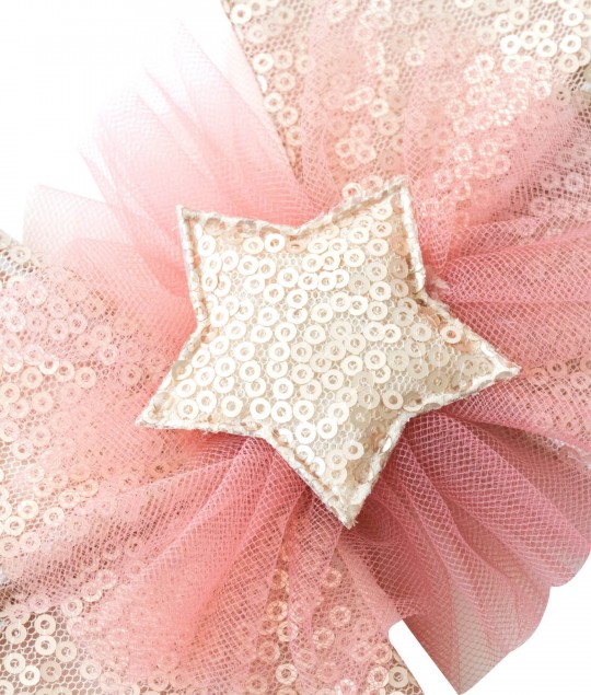 Sequin Wings Aurelia (vintage rose)
