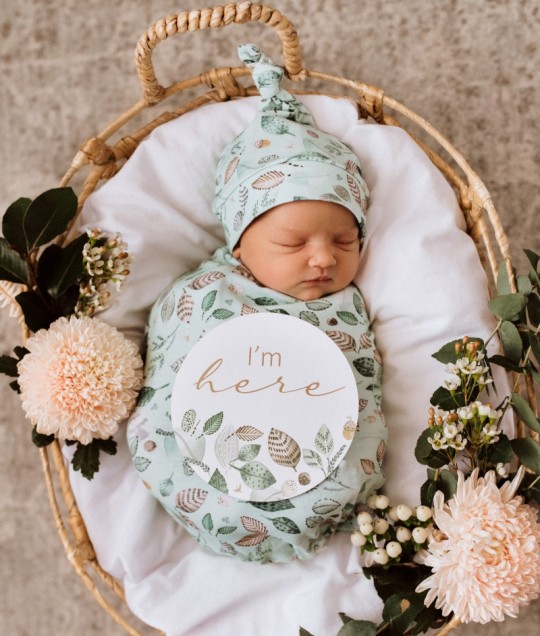 Daintree & Sage Reversible Milestone Cards