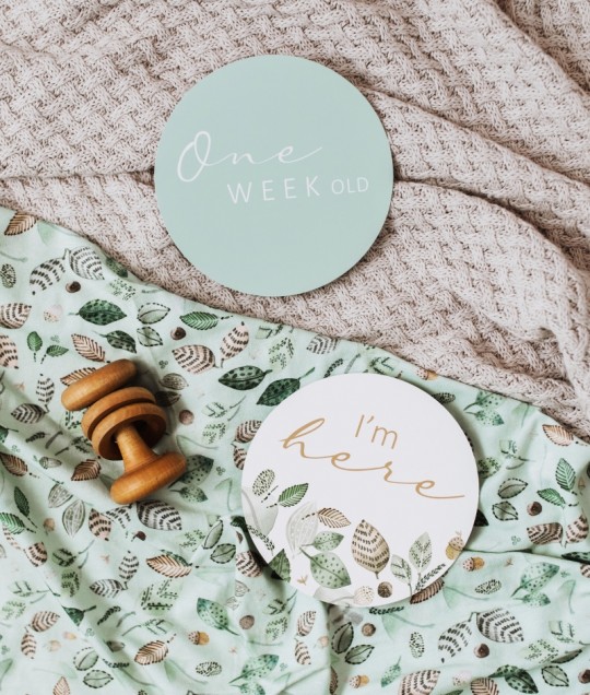 Daintree & Sage Reversible Milestone Cards