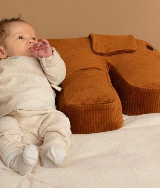 Nursing Pillow 