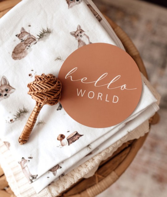 Fox & Hazelnut Reversible Milestone Cards