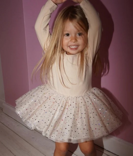 fairy ballerina dress - etoile multi rose