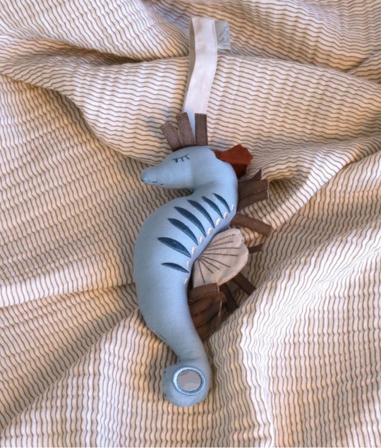 ACTIVITY TOY, SEAHORSE - OCS SAND/ BLUE