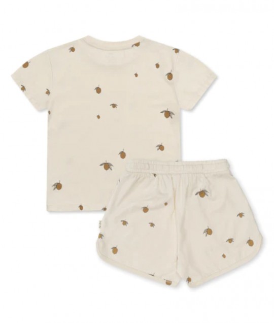 2 pack basic set gots - lemon