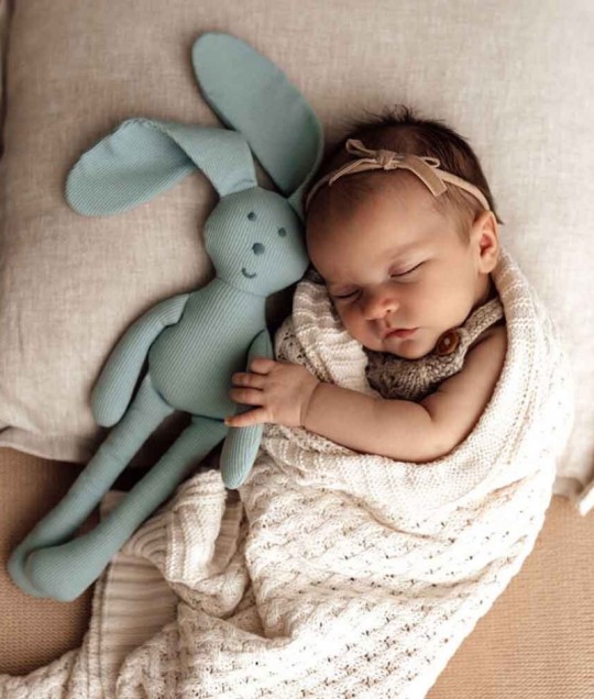 Organic Snuggle Bunny - Sage