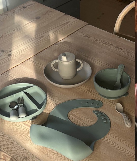 Suction Divided Plate - Blue Clay