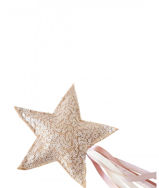 Festive Wand Ariana (tender love)