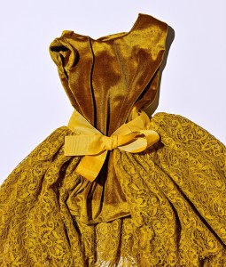 Velvet Dress with Detachable Tutu - RM06