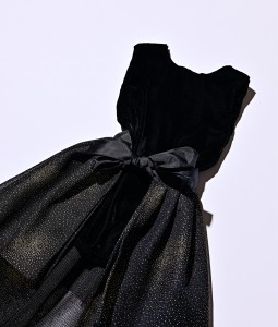 Velvet Dress with Detachable Tutu - RM04