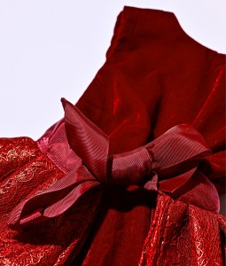 Velvet Dress with Detachable Tutu - RM01