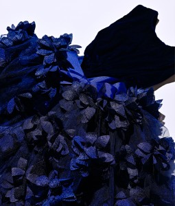 Velvet Dress with Detachable Tutu - RM02