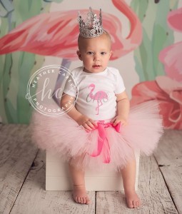 Flamingo Cake Smash Outfit | 1st Birthday Girl